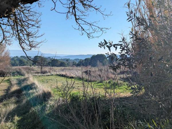 Grand domaine agricole dans le coeur du sud LUBERON