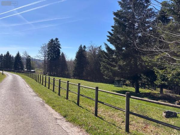 Achat - Propriété | Ferme Le Val-d'Ajol 88340 7 pièces 153 m 2 14973 m 2