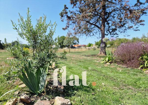 Maison | Vue campagne | 87 m² | 2 chambres | Jardin 1 000 m² | Vue dégagée | Possibilités d’agrandissement