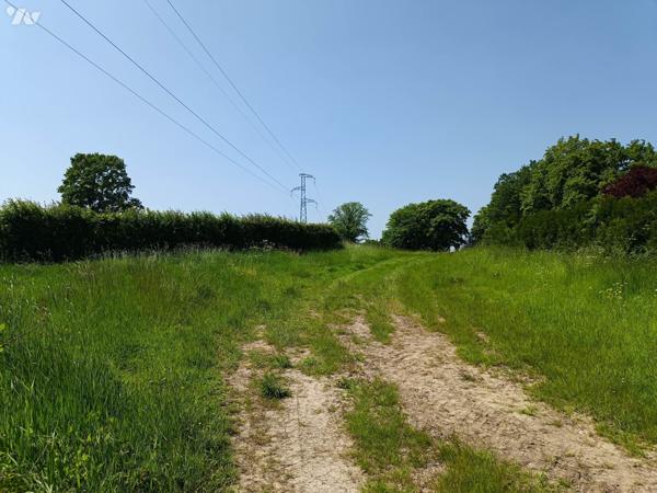 Une parcelle de terrain