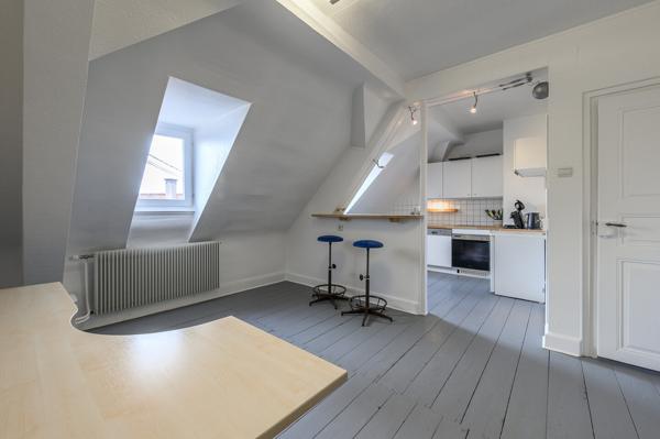 Demeure / Immeuble de Charme Rénové 450 m2 avec Cour Obernai Centre