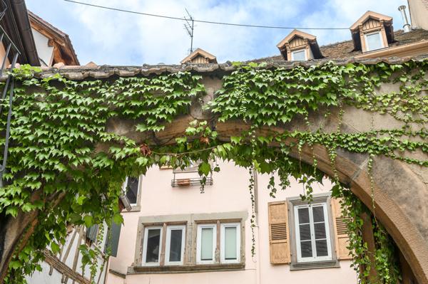 Demeure / Immeuble de Charme Rénové 450 m2 avec Cour Obernai Centre