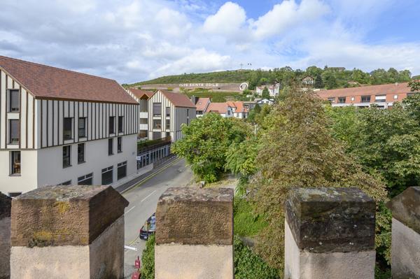 Demeure / Immeuble de Charme Rénové 450 m2 avec Cour Obernai Centre