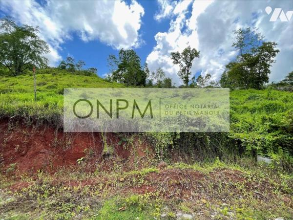 RIVIÈRE SALÉE - Fond Masson - terrain à bâtir