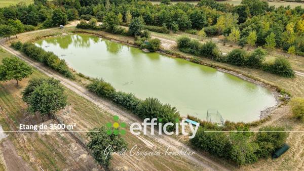 Maison 4 pièces - 141 m² Exclusivité efficity