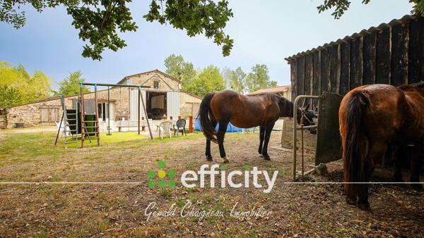 Maison 4 pièces - 141 m² Exclusivité efficity