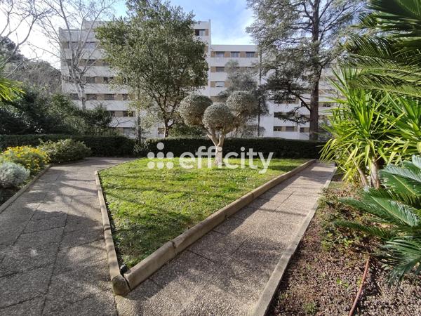 Appartement 1 pièce - 15 m²