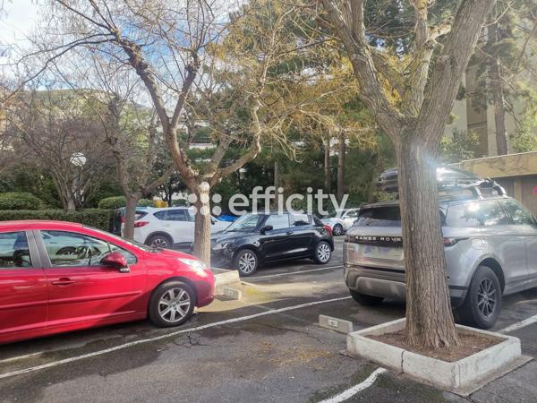 Appartement 1 pièce - 15 m²