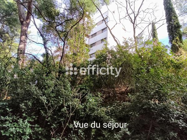 Appartement 1 pièce - 15 m²