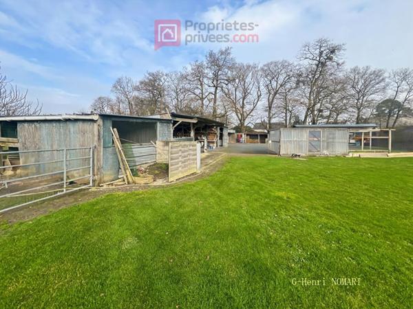 Maison Chateaubriant 7 pièce(s) 214 m2 - Terrain de 4758m²