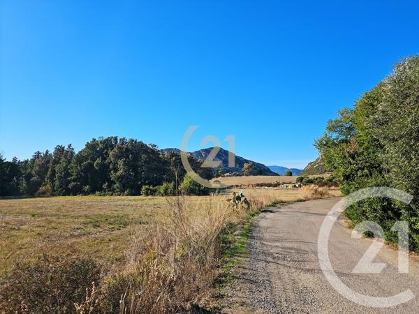 Appartement T2 à vendre  2 pièces - 40,69 m2 PATRIMONIO - 202