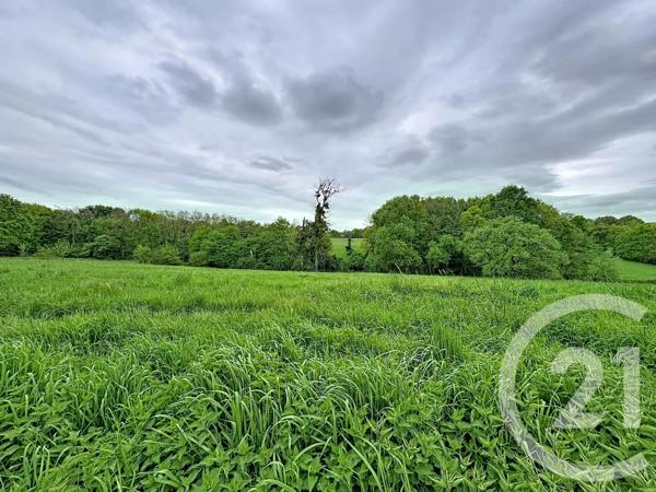 Maison à vendre  3 pièces - 75,10 m 2   CHATRES SUR CHER  - 41