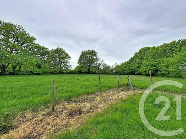 Maison à vendre  3 pièces - 75,10 m 2   CHATRES SUR CHER  - 41