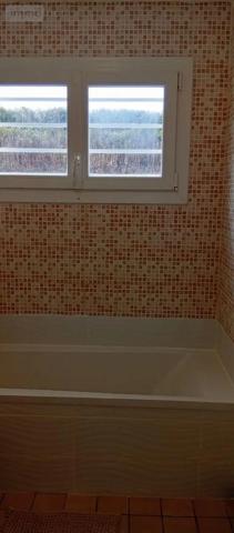 Achat - Maison | Pavillon Beaugency 45190 4 pièces 92 m 2 486 m 2