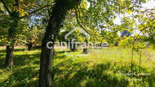 À vendre à Sauzé-Vaussais : Lot de deux maisons mitoyennes à rénover