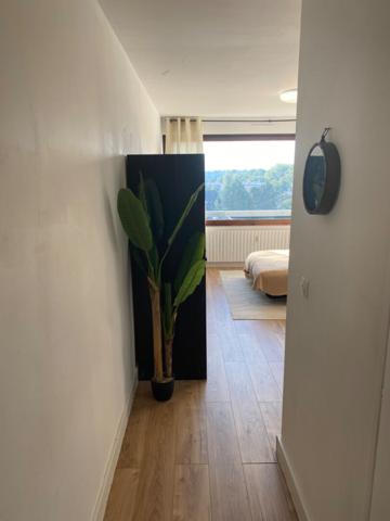 Location Appartement30 m² - 1 Pièce - GAILLARD (74240)