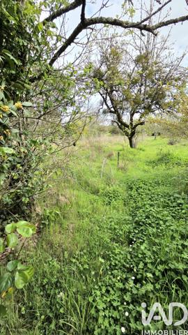 Maison à vendre 4 pièces 85 m² La Trimouille