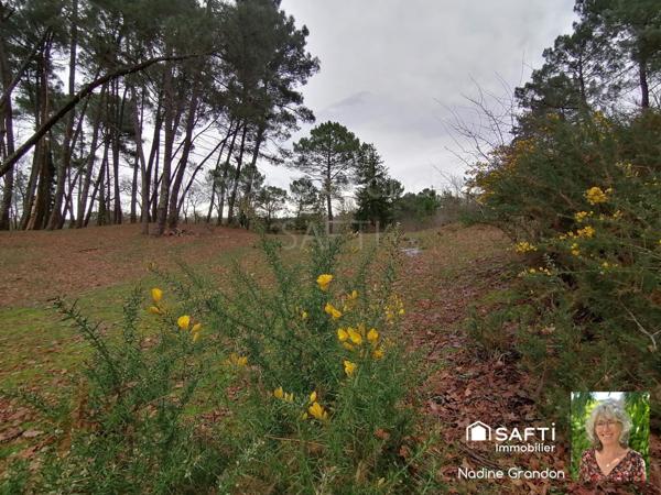 Coup de cœur nature : maison, étang et liberté !