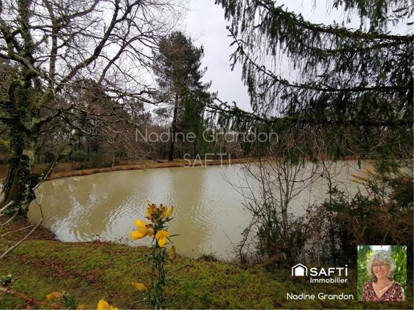 Coup de cœur nature : maison, étang et liberté !
