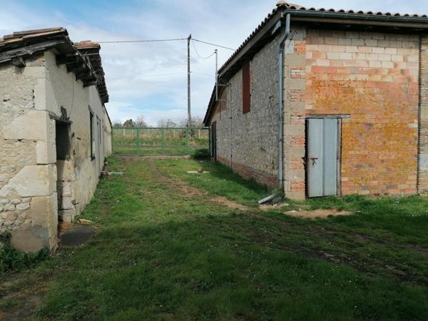 Coup de cœur nature : maison, étang et liberté !