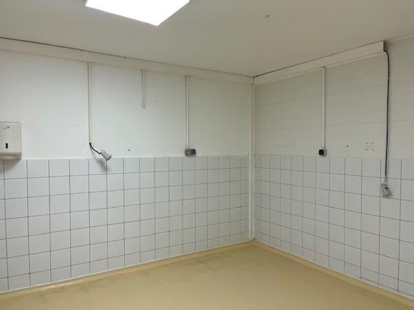 Local commercial 261 m2 dont 40 m2 de bureaux en R+1 ECKBOLSHEIM