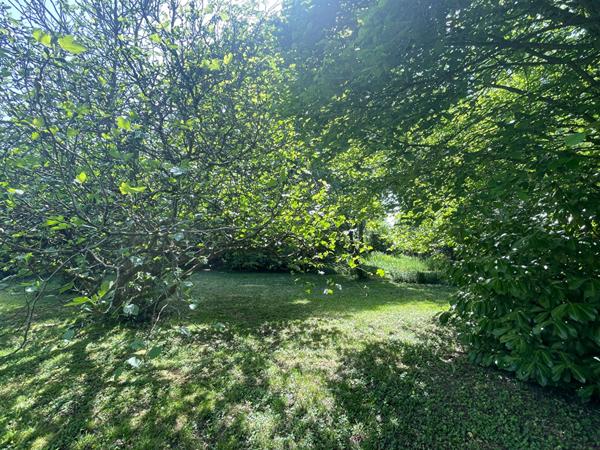 Maison de campagne de caractère 1 heure Paris sud terrain boisé avec étang 4353m²