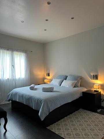 Champfromier (01410) MAISON D'ARCHITECTE 8 PIECES - 310M² - PISCINE - GRAND TERRAIN DE 2330M² - GARAGE 62M²