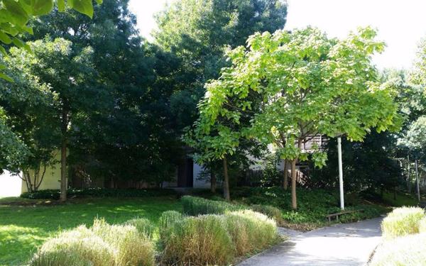 Appartement à louer    3 pièces •  Tours