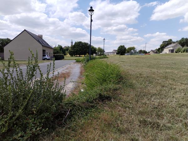 Montautour (35210) Terrain constructible à partir de 461 m2