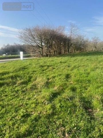 Terrain à Batir à vendre à Grand-Champ dans le Morbihan (56390), ref : 56001-1206