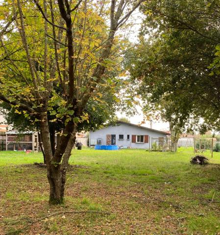 Maison avec 1800m2 de terrain