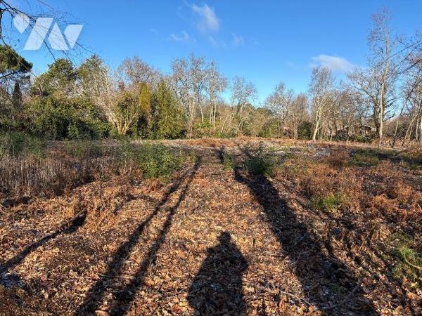 A VENDRE, Gironde, proche Bordeaux, BLANQUEFORT, secteur Caychac côté Pian Médoc, très beau ter...