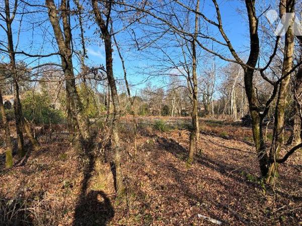 A VENDRE, Gironde, proche Bordeaux, BLANQUEFORT, secteur Caychac côté Pian Médoc, très beau ter...