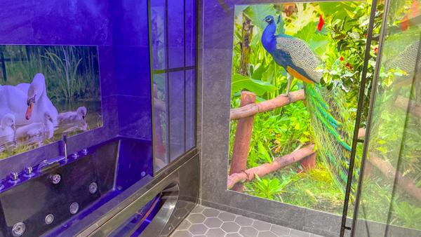 Antibes (06600) Appartement tout confort en rez-de-jardin à Antibes