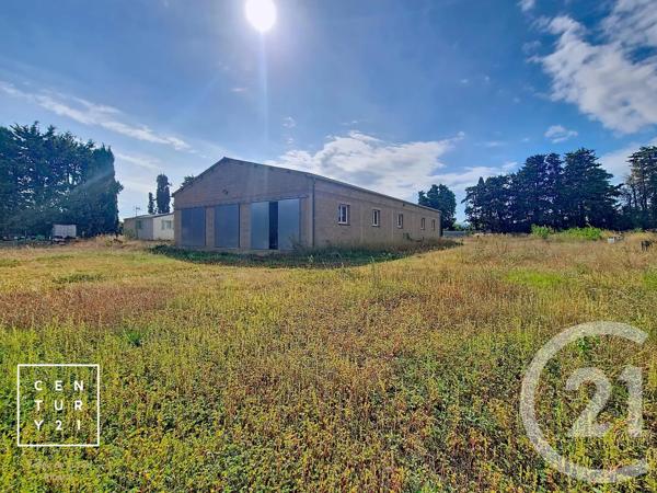 Terrain à vendre  24425 m 2   CORNEILLA LA RIVIERE  - 66