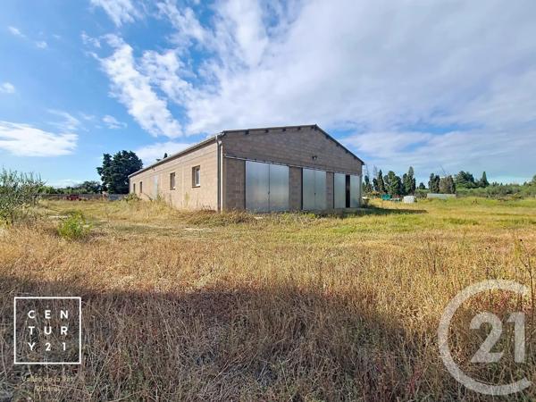 Terrain à vendre  24425 m 2   CORNEILLA LA RIVIERE  - 66