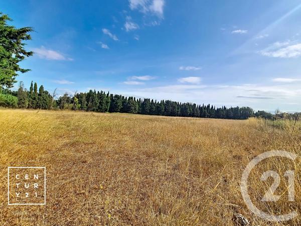 Terrain à vendre  24425 m 2   CORNEILLA LA RIVIERE  - 66