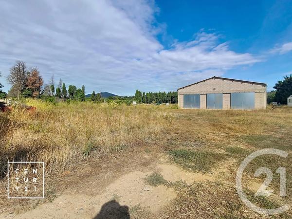 Terrain à vendre  24425 m 2   CORNEILLA LA RIVIERE  - 66