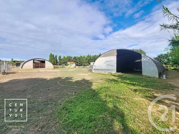 Terrain à vendre  24425 m 2   CORNEILLA LA RIVIERE  - 66