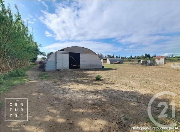 Terrain à vendre  24425 m 2   CORNEILLA LA RIVIERE  - 66