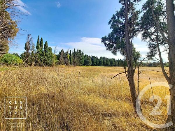 Terrain à vendre  24425 m 2   CORNEILLA LA RIVIERE  - 66