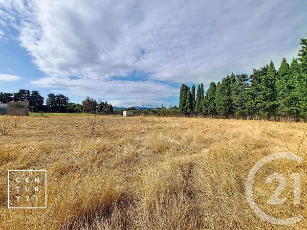 Terrain à vendre  24425 m 2   CORNEILLA LA RIVIERE  - 66