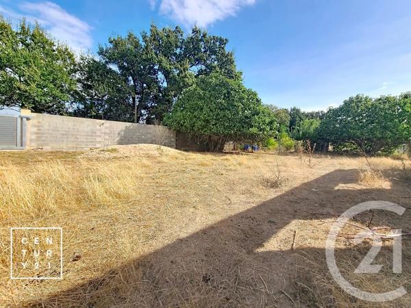 Terrain à vendre  24425 m 2   CORNEILLA LA RIVIERE  - 66