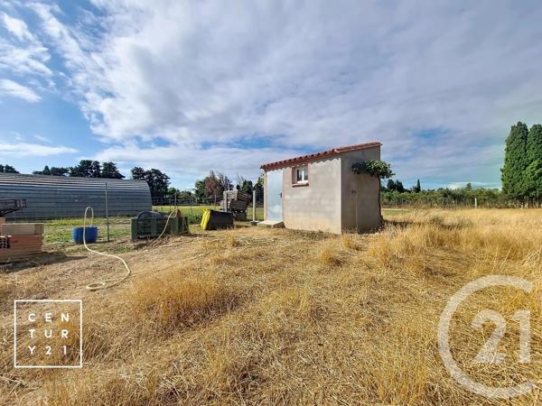 Terrain à vendre  24425 m 2   CORNEILLA LA RIVIERE  - 66