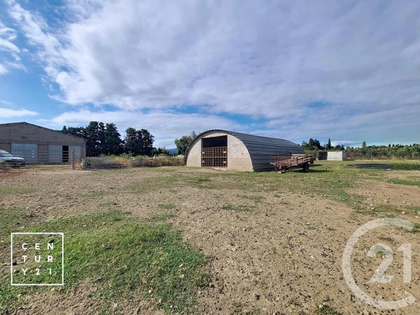 Terrain à vendre  24425 m 2   CORNEILLA LA RIVIERE  - 66