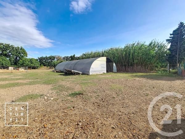 Terrain à vendre  24425 m 2   CORNEILLA LA RIVIERE  - 66