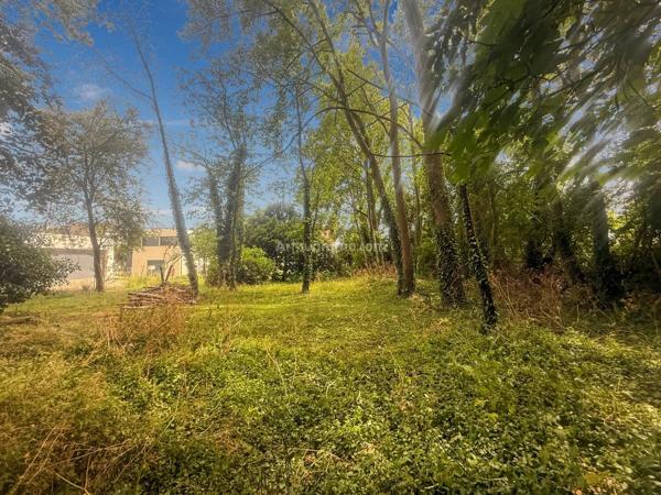 Vente                                                      Terrain
                        
                                         767 m2                     à Thorigny-sur-Marne