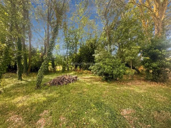 Vente                                                      Terrain
                        
                                         767 m2                     à Thorigny-sur-Marne