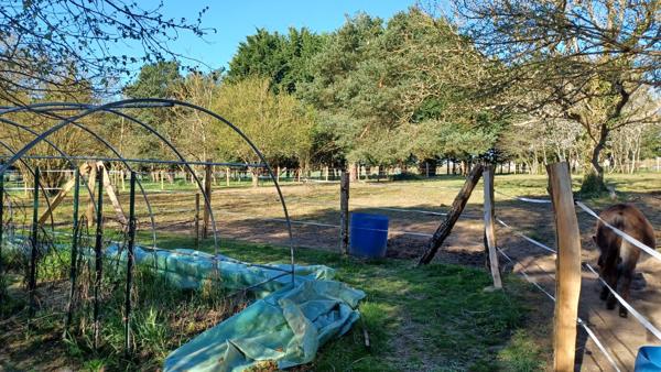 À vendre - Maison ancienne, 5 pièces située à Le Controis-en-Sologne (41400)