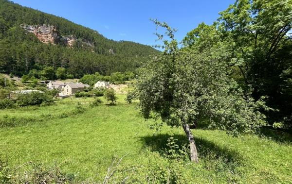 Vente Terrain constructible secteur calme Lanuejols   